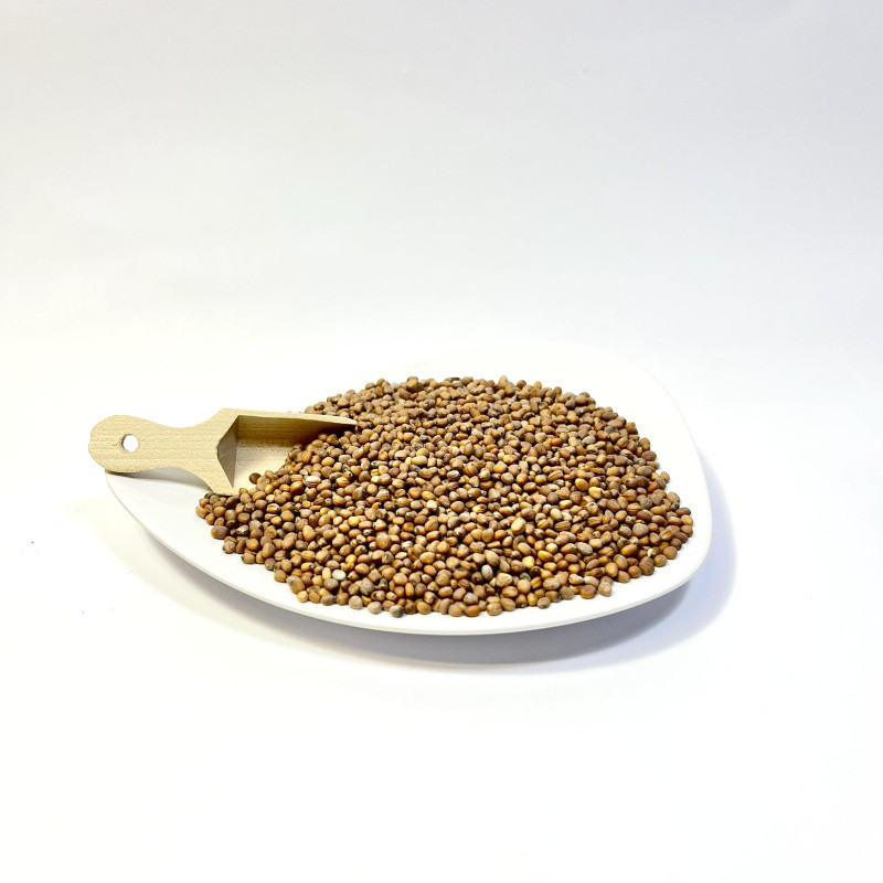 Radish Seeds 50g