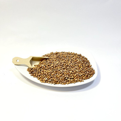 Radish Seeds 50g Cover